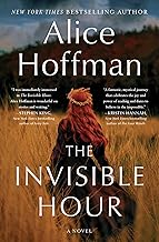 The Invisible Hour by Alice Hoffman